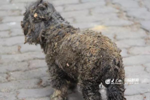 突發(fā)！青島一居民樓發(fā)生爆燃！已造1人死亡，7人受傷！3公里外有震感…